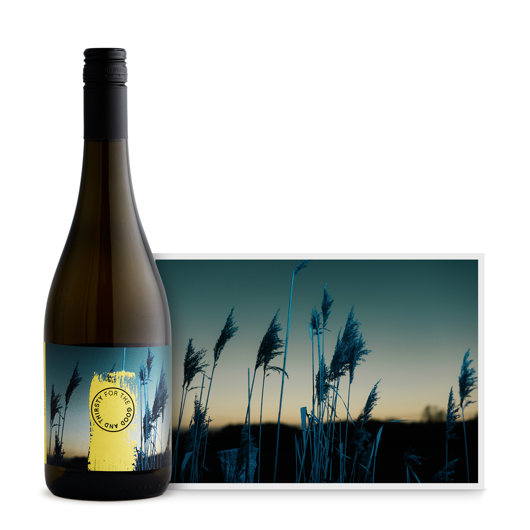 FOR THE GOOD AND THIRSTY – Riesling 2020